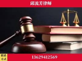 崇左-刑事案件
