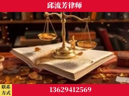 崇左-委托诉讼代理人出庭